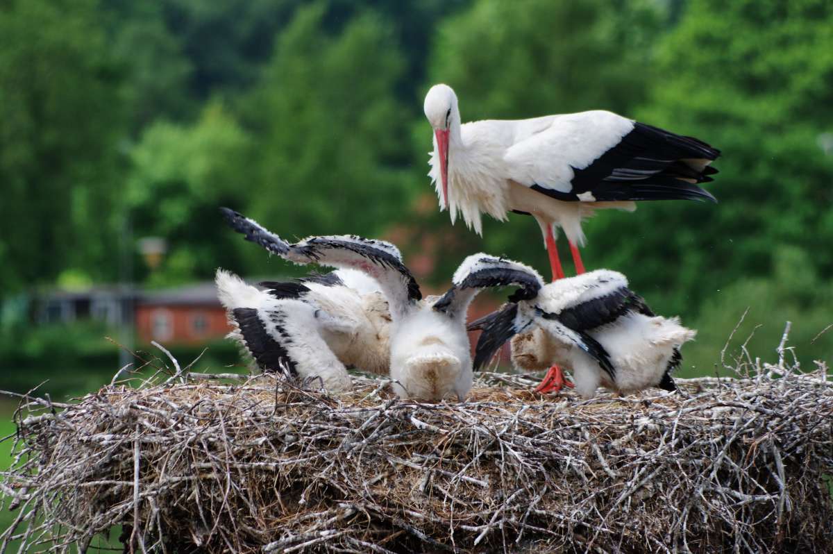 ������� ���� ����� ���� ����� �� PhotoGeek.ru #�������� ��� #������ ��� ������� #������