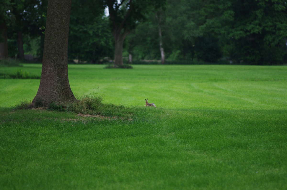 ��������� 3 ����� ���� ����� �� PhotoGeek.ru #�������� ��� #������ ��� ������� #����� ��� ��� ���������