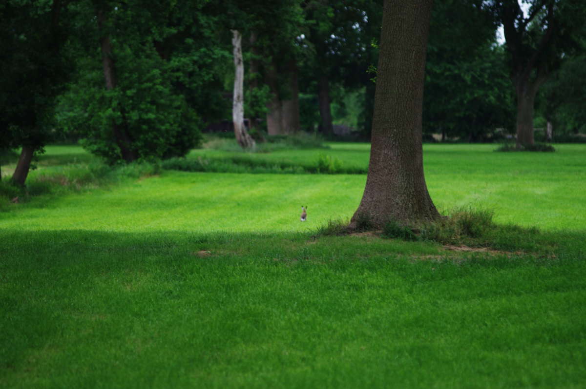 ��������� 4 ����� ���� ����� �� PhotoGeek.ru #�������� ��� #������ ��� ������� #����� ��� ��� ���������