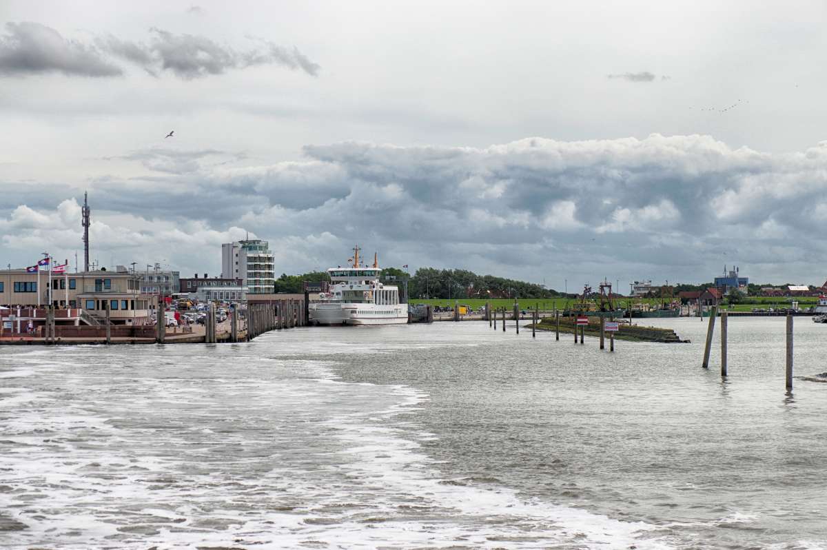 �� ������ ����� ���� ����� �� PhotoGeek.ru #������ ��� ������� #������