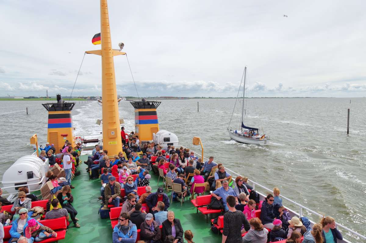 �� ������� ������. ����� ���� ����� �� PhotoGeek.ru #������ ��� ������� #������