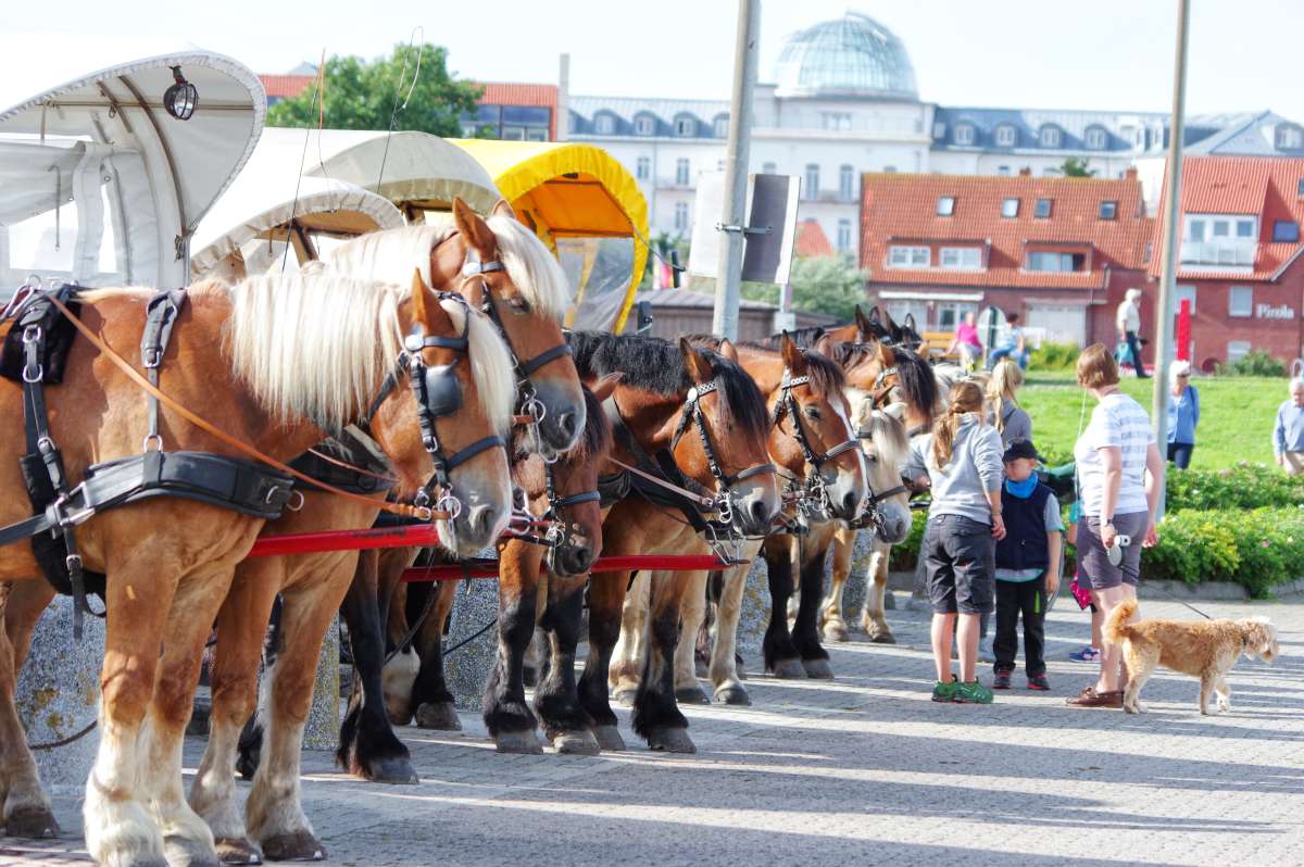 Huftaxi. �����������. ����� ���� ����� �� PhotoGeek.ru #�������� ��� #������ ��� ������� #�������� ���������� #������