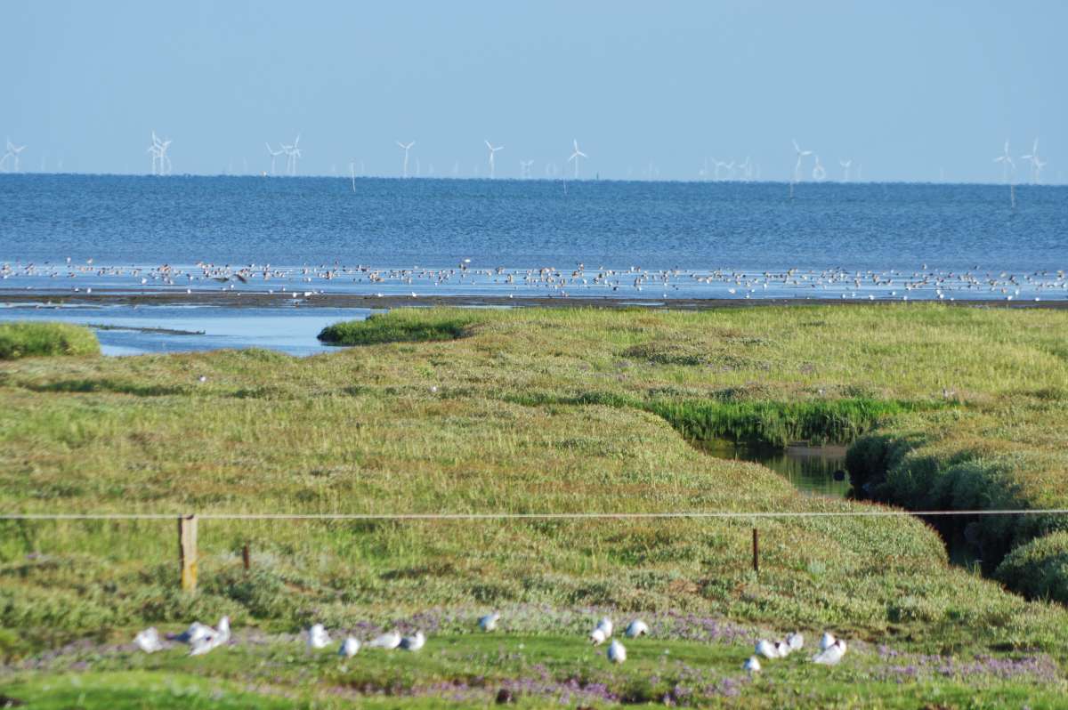 ������ ����� � �������� ����. ����� ���� ����� �� PhotoGeek.ru #�������� ��� #������ ��� ������� #������