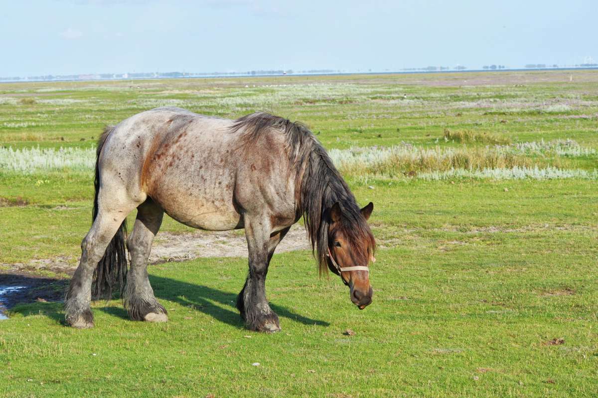 ���� ����� ���� ����� �� PhotoGeek.ru #�������� ��� #������ ��� ������� #������