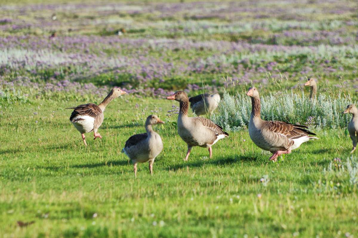 ����� ����. ����� ���� ����� �� PhotoGeek.ru #�������� ��� #������ ��� ������� #����� ��� ��� ��������� #������