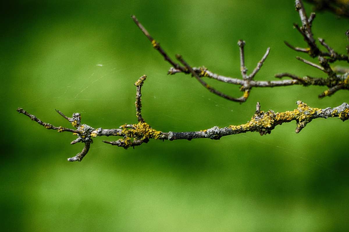 ������������ ����� ����� ���� ����� �� PhotoGeek.ru #������ ��� ������� #����� �������������� #������