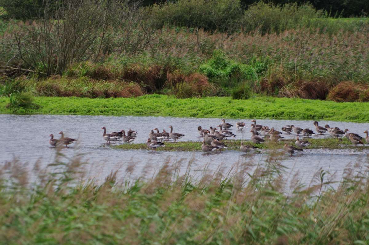 ����� ���� �� ������ ����� ���� ����� �� PhotoGeek.ru #�������� ��� #������ ��� ������� #����� ��� ��� ��������� #������