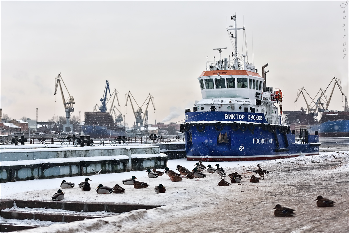 ������� ����� ����� ������� �� PhotoGeek.ru #�����