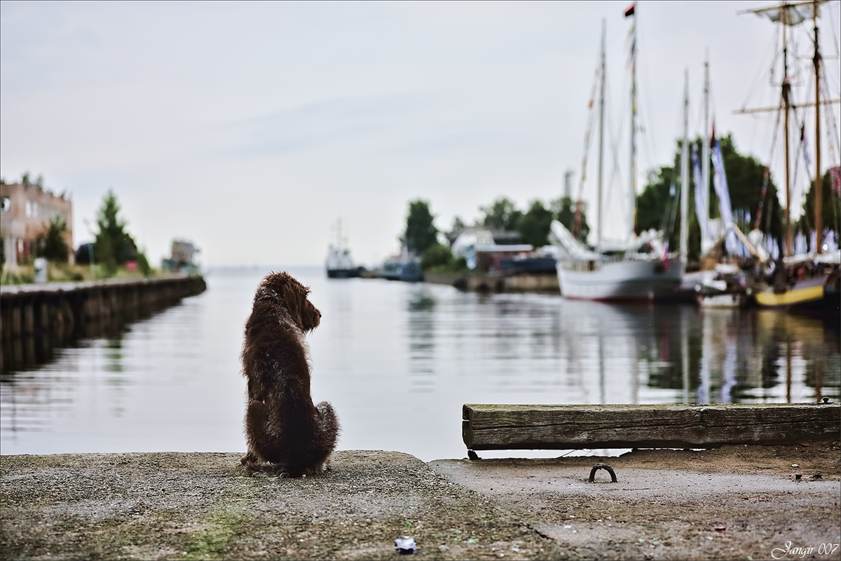 *** ����� ����� ������� �� PhotoGeek.ru #�������� ����������