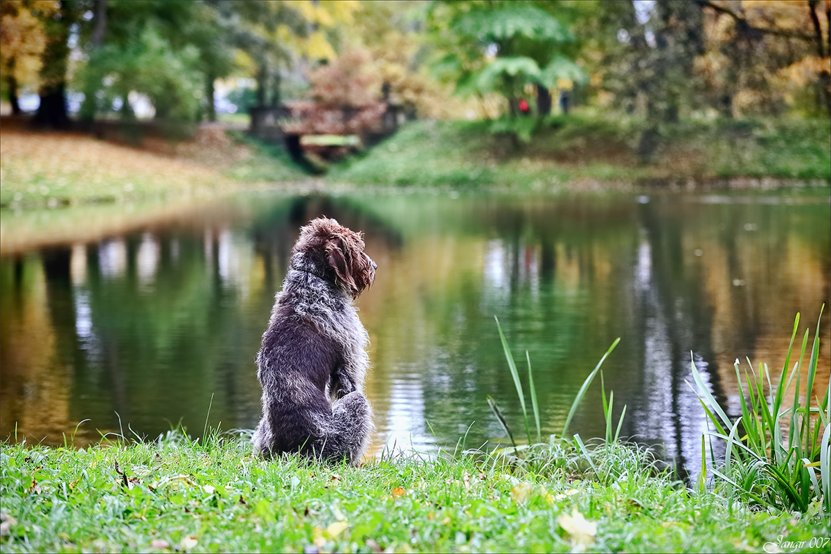 ������� �� ����� ����� ������� �� PhotoGeek.ru #������ ��� �������