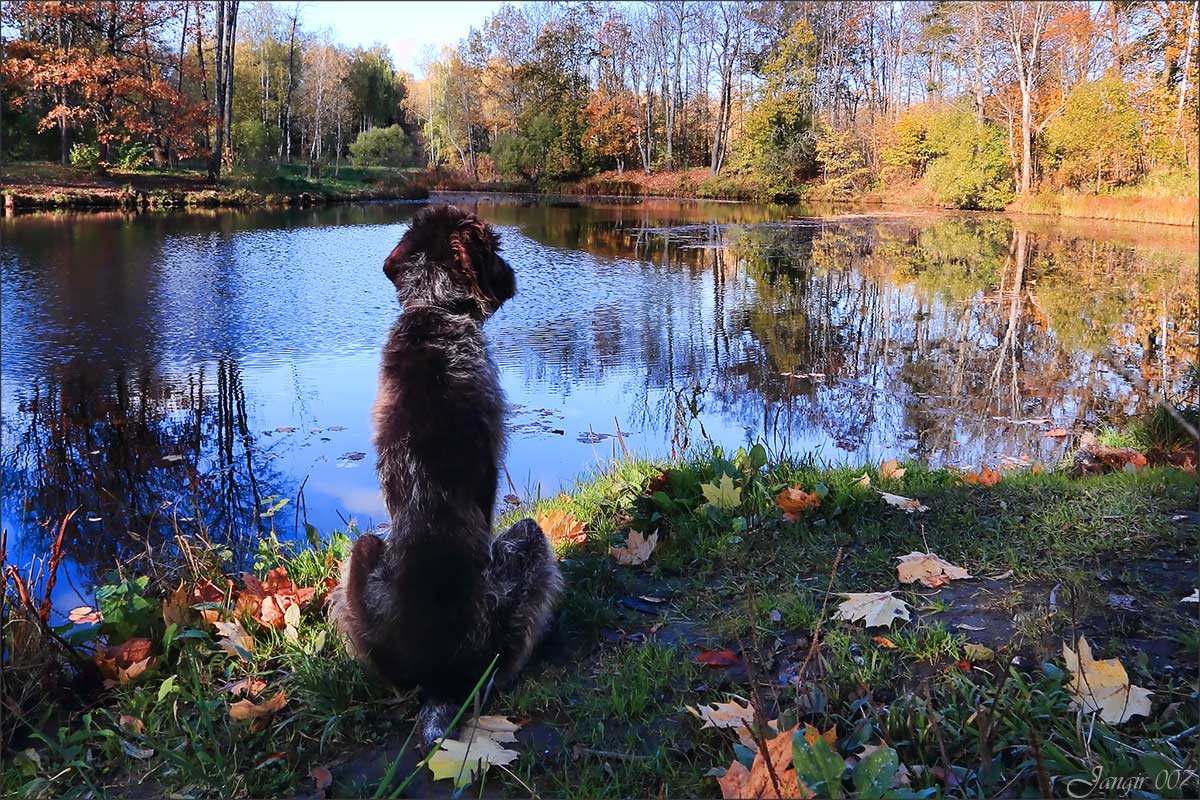 ������� �� ����� ����� ������� �� PhotoGeek.ru #������ ��� �������