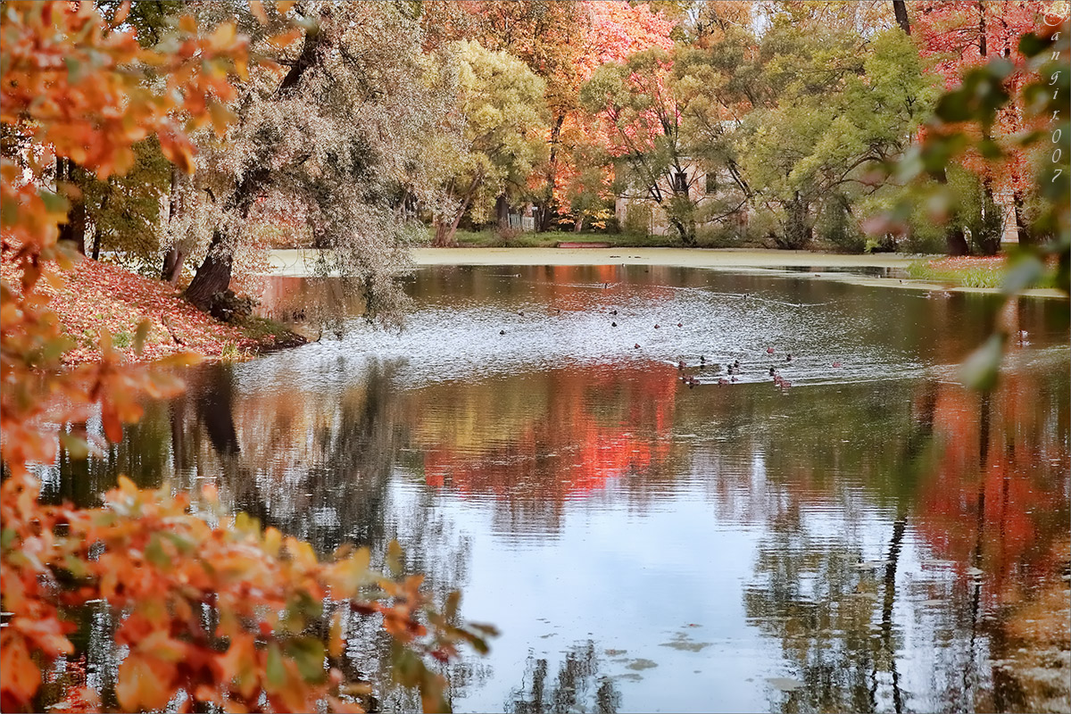 � ������� ����� ������...,  ���� �����  ������ ����� ����� ������� �� PhotoGeek.ru #������ ��� �������