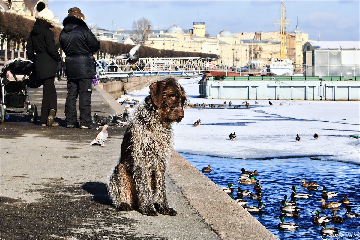 �� ������ ������� ���� ����� ����� ������� �� PhotoGeek.ru #�������� ����������