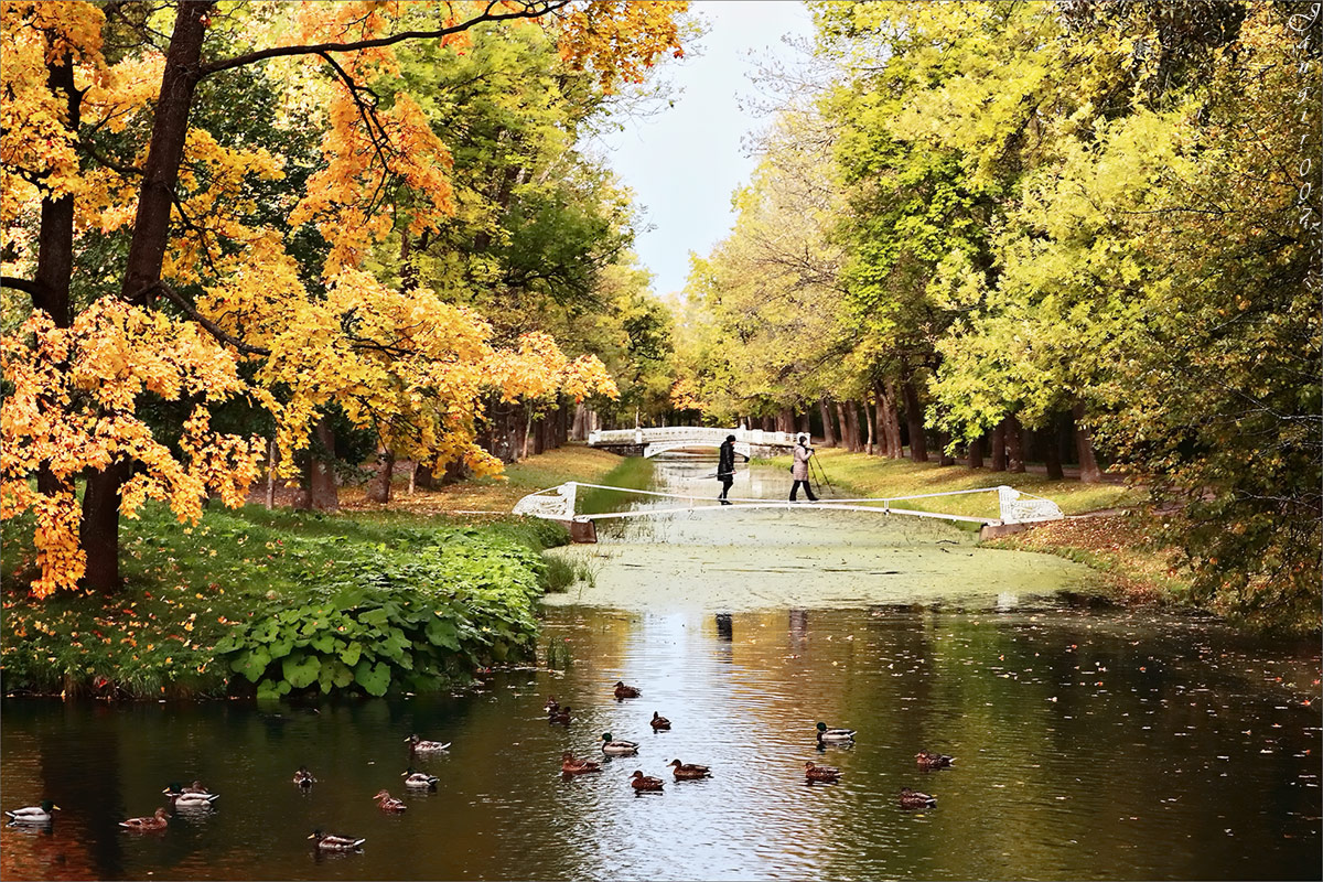 ����� � ������� ���� ����� ����� ������� �� PhotoGeek.ru #������ ��� �������