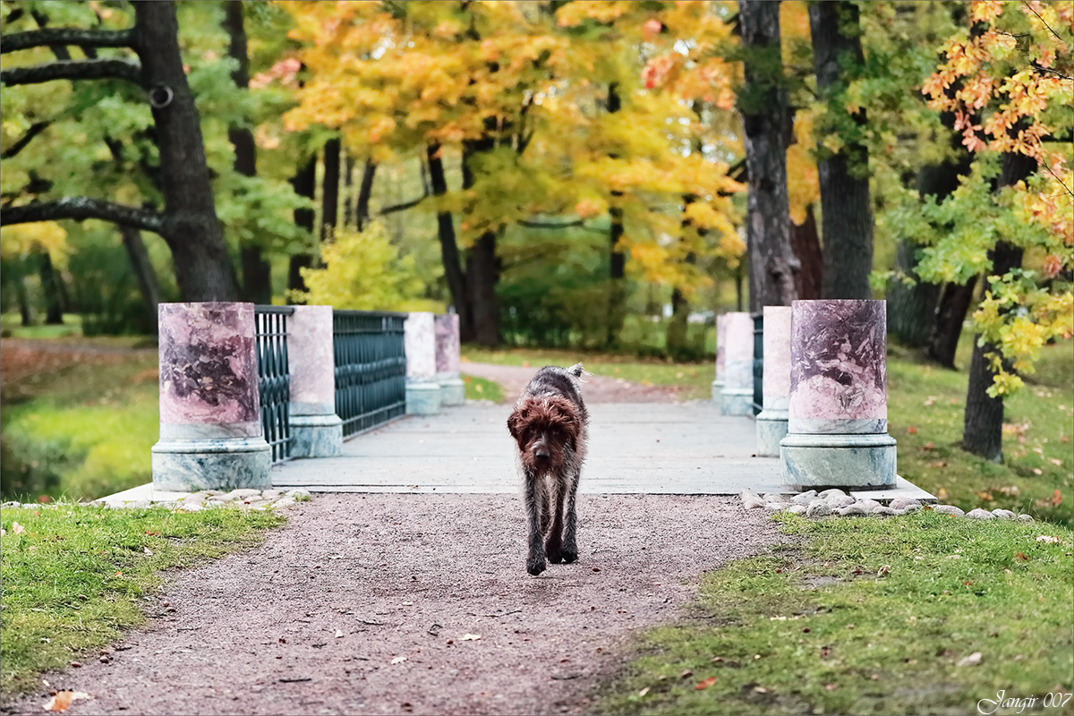 ��������� ����..., ���������� ��! ����� ����� ������� �� PhotoGeek.ru #�������� ���