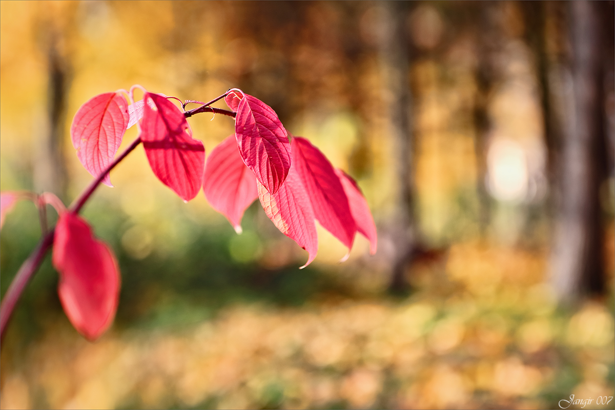 *** ����� ����� ������� �� PhotoGeek.ru #������ ��� �������