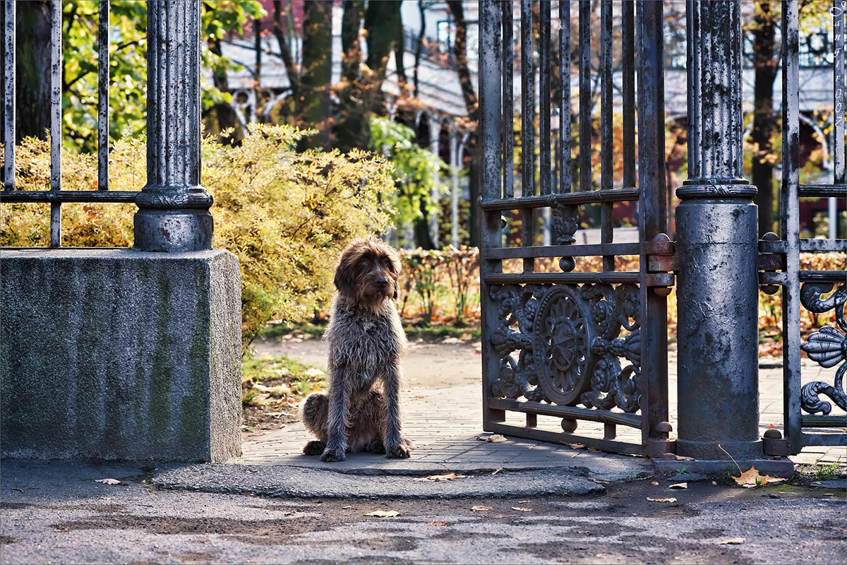 "�� ���..., - ������ ���� ���!" ����� ����� ������� �� PhotoGeek.ru #�������� ����������