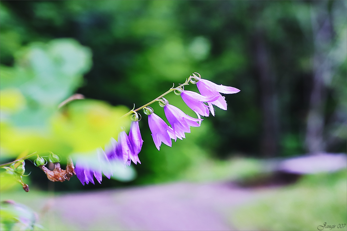 ������ ����� ����� ������� �� PhotoGeek.ru #����� #������ ��� �������