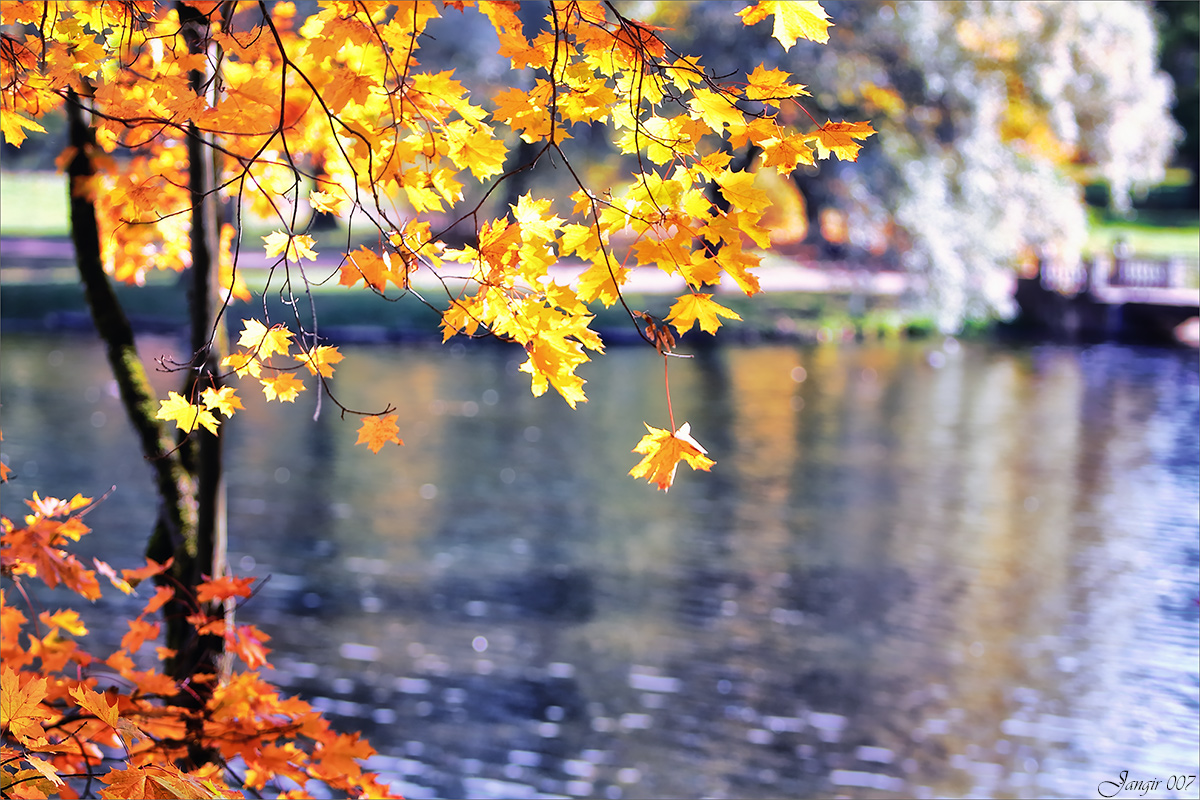 �������� �����... ����� ����� ������� �� PhotoGeek.ru #������ ��� �������