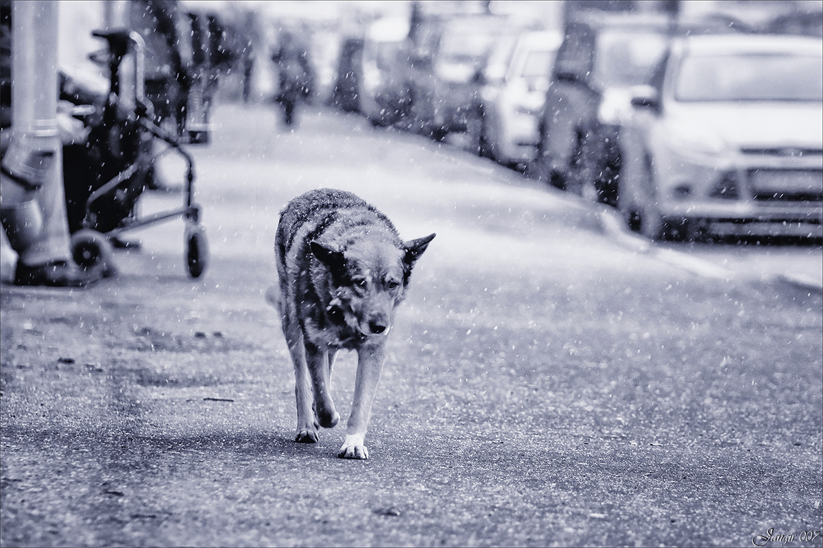 ����� �������... ����� ����� ������� �� PhotoGeek.ru #�������� ����������