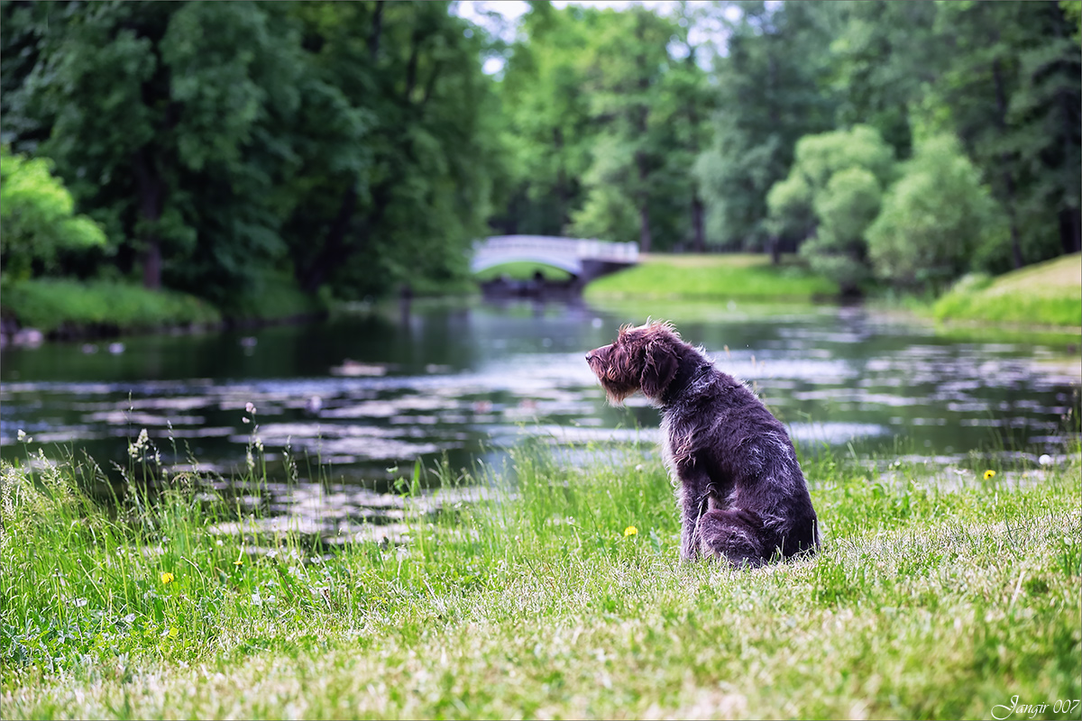 ������ ��� �������... ����� ����� ������� �� PhotoGeek.ru #�������� ��� #������ ��� �������