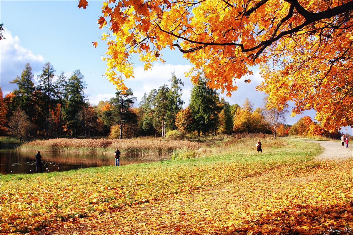 ����������� ����. ������� ����� ����� ������� �� PhotoGeek.ru #������ ��� �������