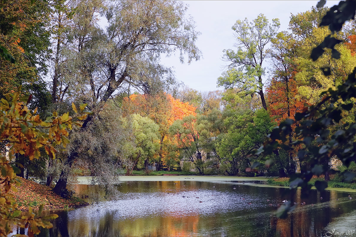 ����� � ������� ���� ����� ����� ������� �� PhotoGeek.ru #������ ��� �������