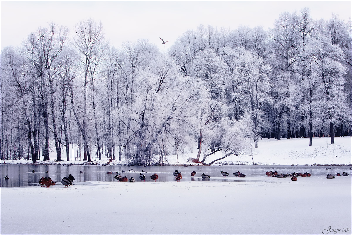 *** ����� ����� ������� �� PhotoGeek.ru #������ ��� �������