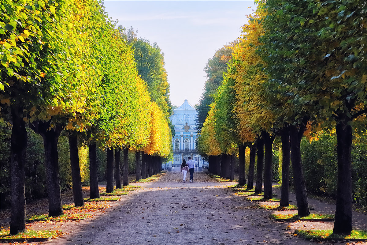 ����� � ������� ���� ����� ����� ������� �� PhotoGeek.ru #������ ��� �������