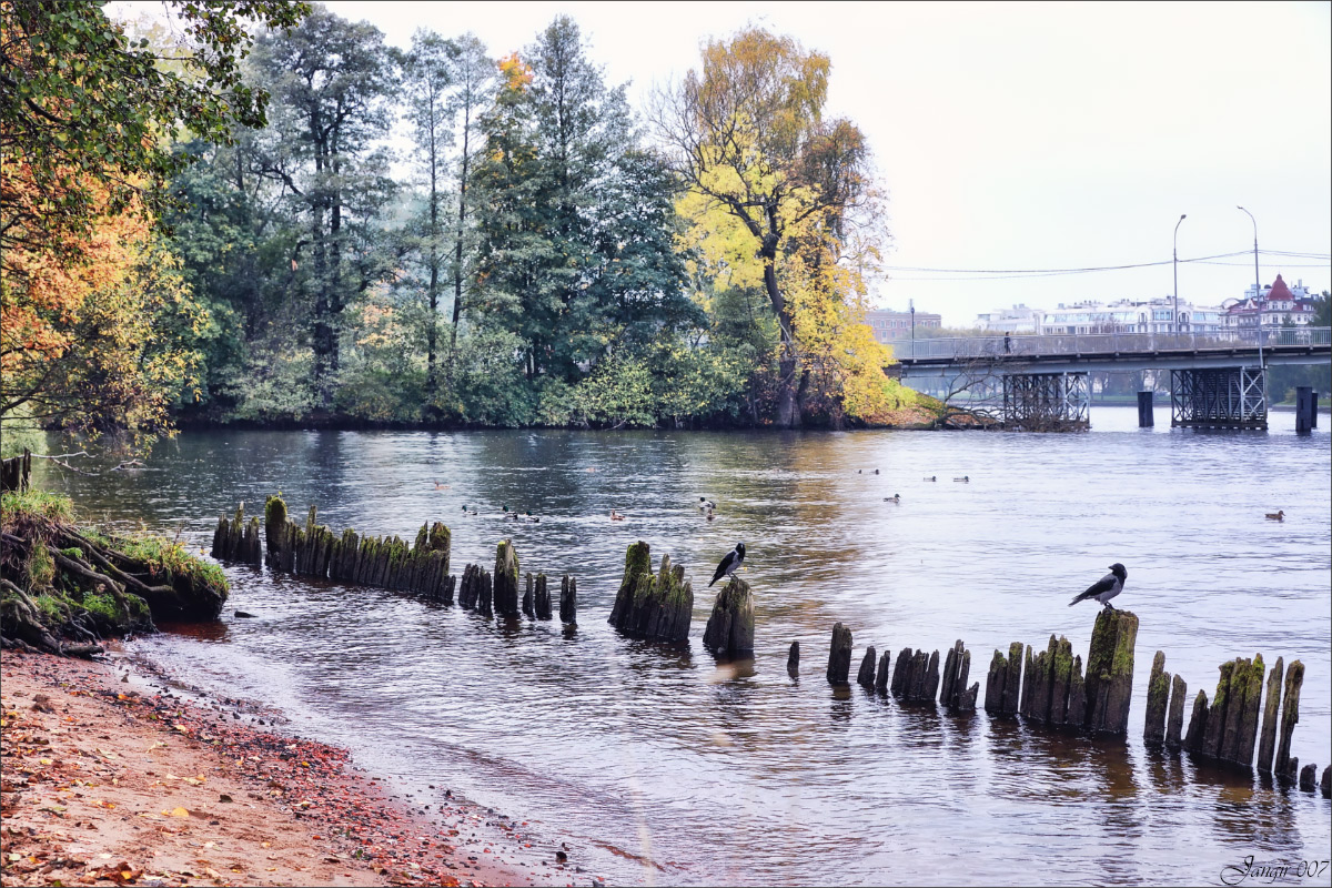 �������� ������ ����� ����� ������� �� PhotoGeek.ru #����� #������ ��� �������