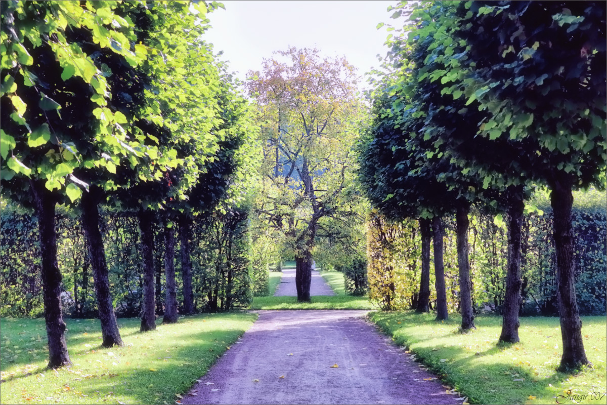 ����� � �������������� ����� ����� ����� ������� �� PhotoGeek.ru #������ ��� �������