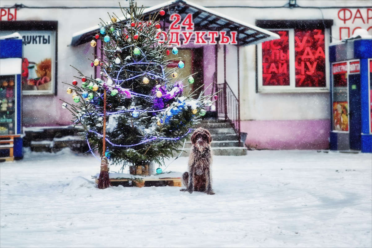 � ����� ����� ! ����� ����� ������� �� PhotoGeek.ru #�������� ����������