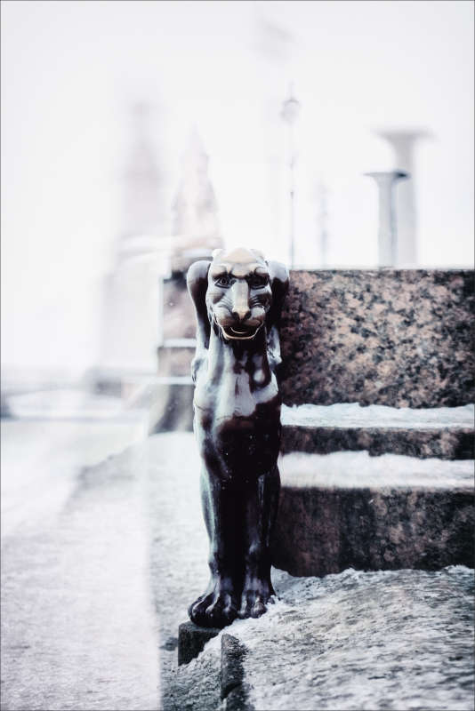 ��������� ���������� ... ����� ����� ������� �� PhotoGeek.ru #����� #�����������