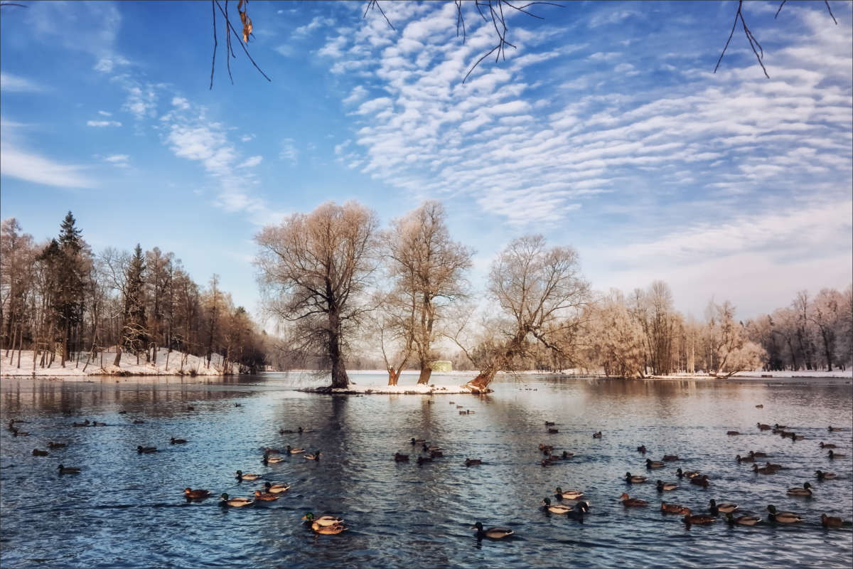 ��������� ����. ������� ����� ����� ������� �� PhotoGeek.ru #������ ��� �������