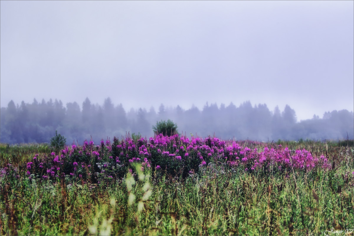 ����� ������ ... ����� ����� ������� �� PhotoGeek.ru #������ ��� �������