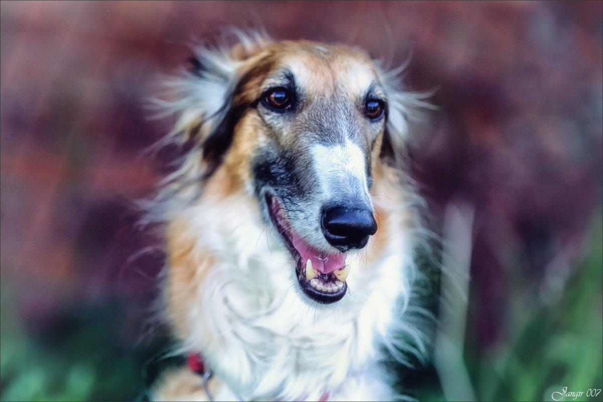 ��������� ����� ����� ������� �� PhotoGeek.ru #�������� ���