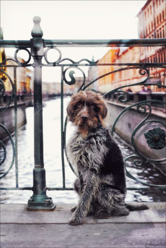 ���������, �� �������� ����-������! ����� ����� ������� �� PhotoGeek.ru #�������� ��� #�������� ����������