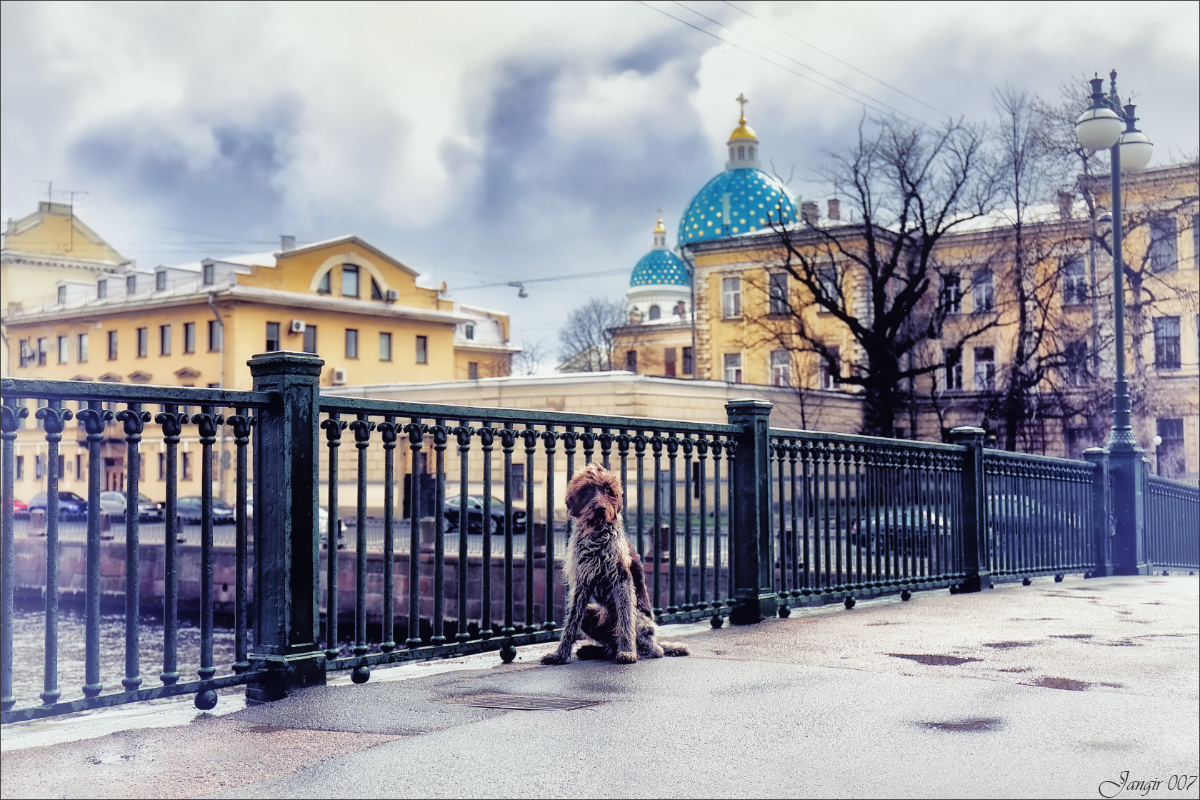 �������� ����, �������� �� ... ����� ����� ������� �� PhotoGeek.ru #����� #�������� ��� #�������� ����������