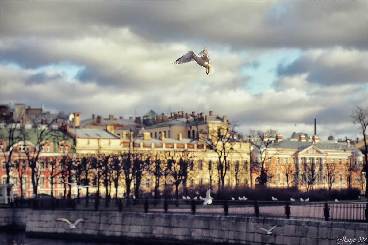 *** ����� ����� ������� �� PhotoGeek.ru #����� #�������� ���������� #�����������