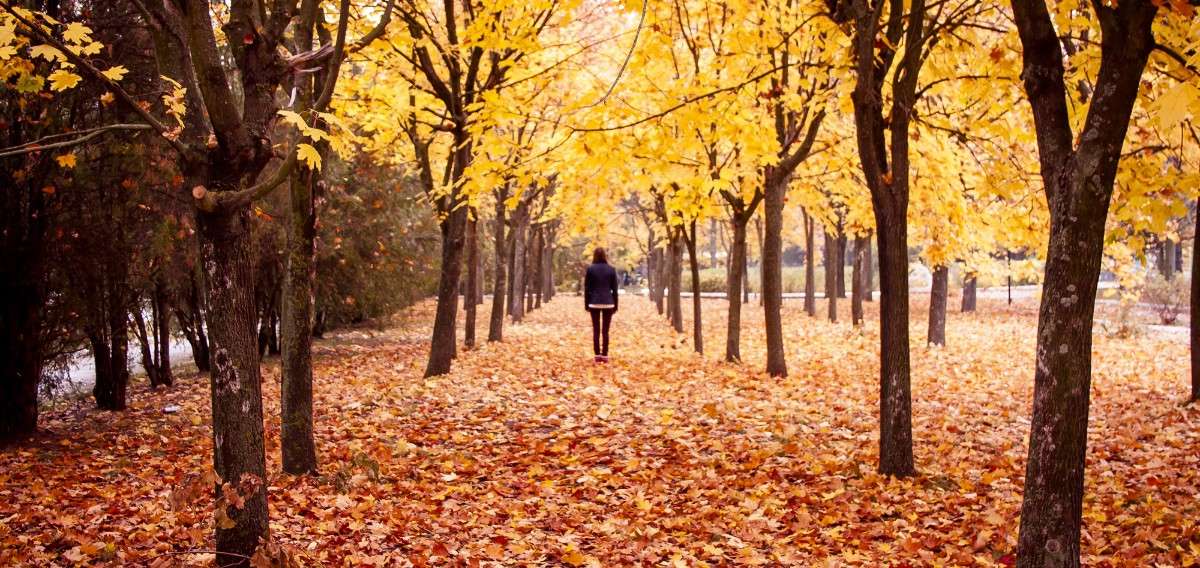 ����������� ����� JaKU  �� PhotoGeek.ru #��������� ���������� #������ ��� �������