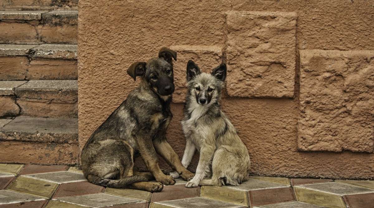 ������� ����� JaKU  �� PhotoGeek.ru #�������� ���