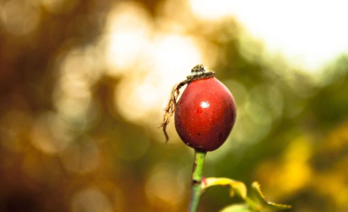 �������� ����� JaKU  �� PhotoGeek.ru #������ ��� �������