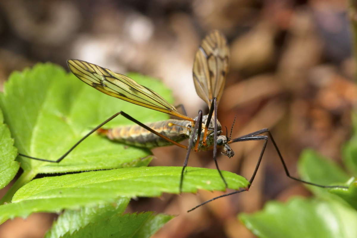 ������� � ������! ����� ���� ������� �� PhotoGeek.ru #����� #Juriy68 #������� #������ #��������� #�������