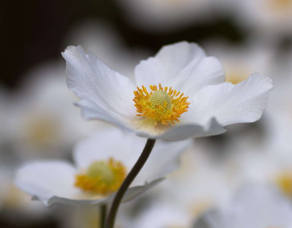 ������� ����� ���� ������� �� PhotoGeek.ru #����� #Juriy68 #������� #��������� #������� #����� #�����