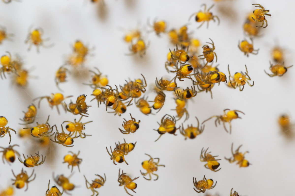 ������� ����� ���� ������� �� PhotoGeek.ru #����� #Juriy68 #������� #���� #����