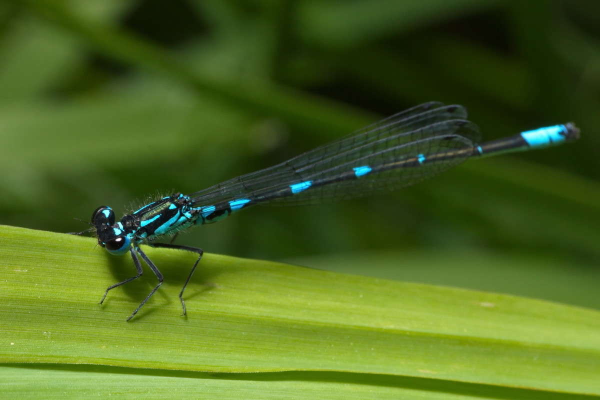 �������� ����� ���� ������� �� PhotoGeek.ru #����� #Juriy68 #��������� #������� #��������