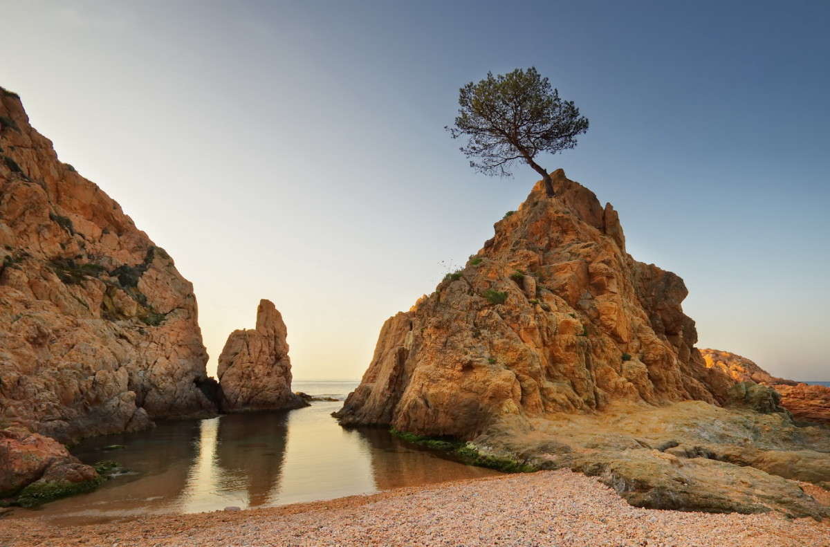 И на камнях растут деревья!.. автор Юрий Кольцов на PhotoGeek.ru #Juriy68 #Берег #Вода #Дерево #Испания #Камни #Каталония #Море #Пейзаж #Природа #Растение #Скалы #Тосса #Тосса да мар