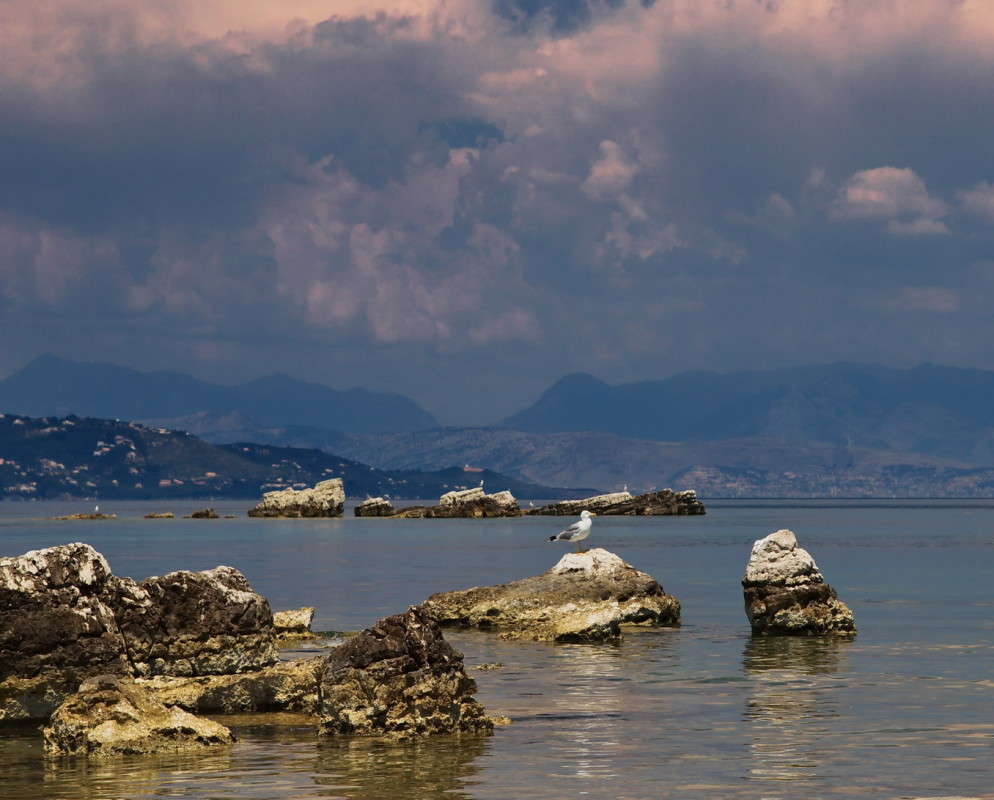 Живу я здесь!.. автор Юрий Кольцов на PhotoGeek.ru #Пейзаж или природа #Juriy68 #Видос #Горы #Греция #Камни #Керкира #Корфу #Море #Небо #Облака #Птицы #Скалы #Чайка