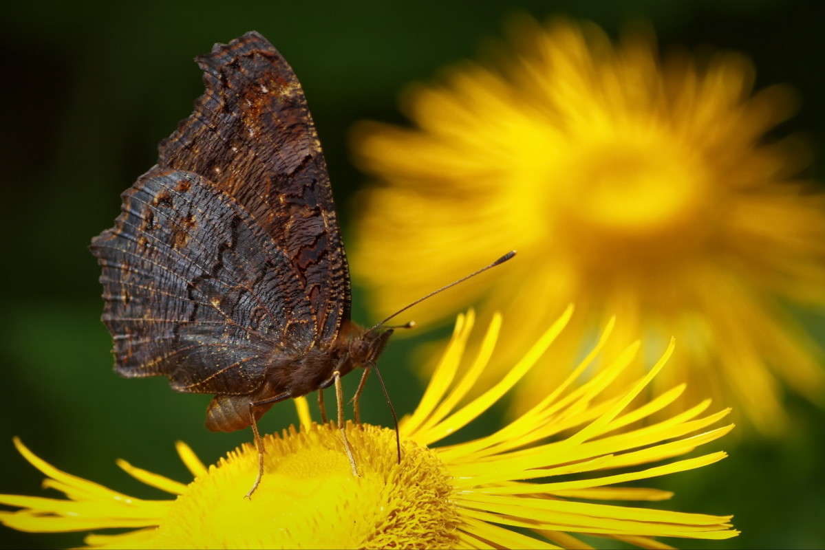 ��������� ������� ����� ���� ������� �� PhotoGeek.ru