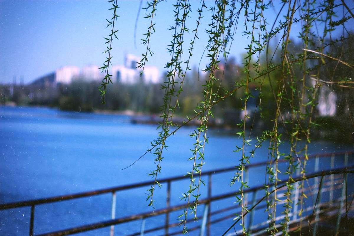 �������� ������� ����� �������� �������� �� PhotoGeek.ru #����� #������ ��� �������